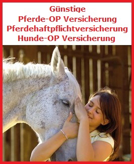 Pferde-OP-Versicherung Bild